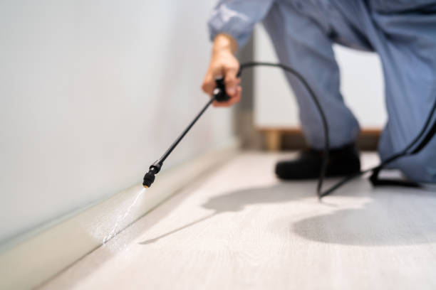 Professional exterminator conducting IPM assessment in Church Hill